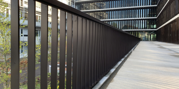 20210503_064142224_iOS