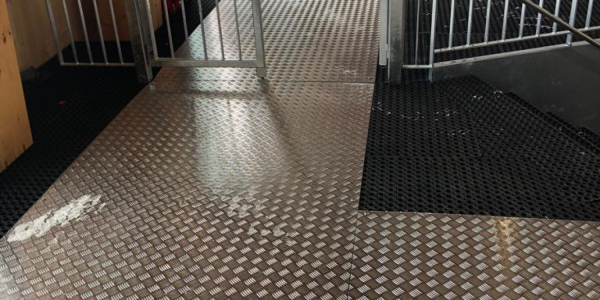 20181221_114950870_iOS